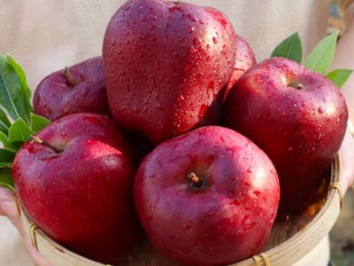 【越放越粉甜】花牛苹果甘肃蛇果当季新鲜粉面沙甜整箱10/5斤批发图3