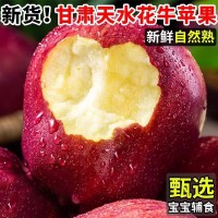 【越放越粉甜】花牛苹果甘肃蛇果当季新鲜粉面沙甜整箱10/5斤批发
