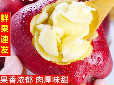 【越放越粉甜】花牛苹果甘肃蛇果当季新鲜粉面沙甜整箱10/5斤批发图2