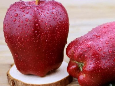 【越放越粉甜】花牛苹果甘肃蛇果当季新鲜粉面沙甜整箱10/5斤批发图2