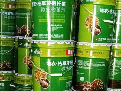 微生物菌粉剂 地衣枯草芽胞杆菌 微生物土壤活化劑 微生物菌剂图2