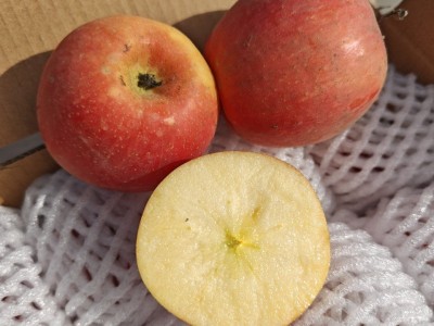 批发新疆阿克苏樱桃小苹果孕妇宝宝新鲜水果产地发当季代发图4