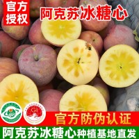 新疆阿克苏冰糖心苹果产地直发核心红旗坡农场种植基地现发孕妇