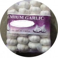 金乡出口仓库直发蒜头杂交白蒜红蒜小网袋装新鲜红皮白皮大蒜