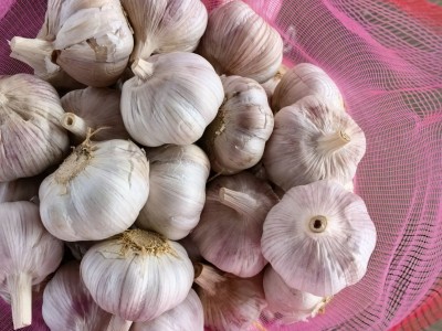 金乡出口仓库直发蒜头杂交白蒜红蒜小网袋装新鲜红皮白皮大蒜图2