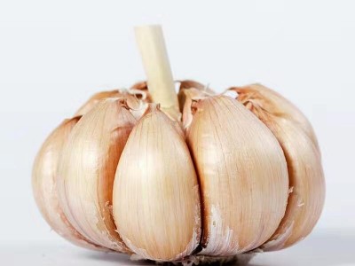 蒜 蒜头 干蒜山东批发紫皮大蒜干蒜头原产地发货工厂直发保鲜大蒜图4