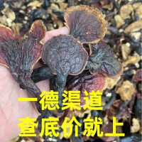 厂家批发大量干货西藏中号灵芝中药材煮水煲汤泡酒养生滋补