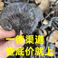 大量 特大竹灵芝滋补品煲汤泡酒中药材 一斤¥180