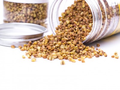 黄苦荞茶荞麦茶大麦 四川大凉山麦香型苦芥茶浓香型正品一件代发图2