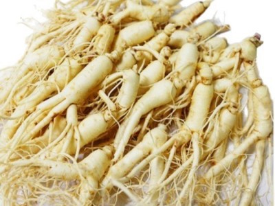 【人参批发】长白山保鲜参袋装泡酒参火锅煲汤厂家高丽参图5