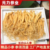 【人参批发】长白山保鲜参袋装泡酒参火锅煲汤厂家高丽参