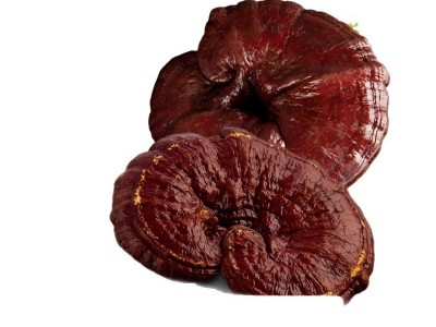 正品南韩原枝无糖高丽参250克足干5年根支参味浓红参人参煲汤泡水图5