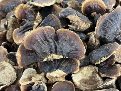 正宗长白山小灵芝整朵金边灵芝250克干货煲汤泡水泡酒装礼盒款图2