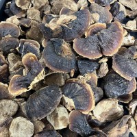 正宗长白山小灵芝整朵金边灵芝250克干货煲汤泡水泡酒装礼盒款