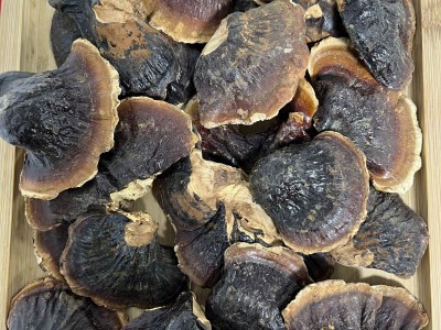 正宗长白山小灵芝整朵金边灵芝250克干货煲汤泡水泡酒装礼盒款图4