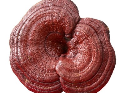 中药材长白山原生态 整个灵芝 林芝 500克35元 有灵芝草 灵芝片图5