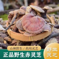 灵芝中药材正品 纯野生药用赤灵芝250g 整朵干货灵芝