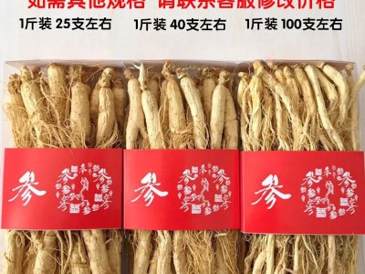 【今日特价】高龄生晒参500g人参长白山非野山参干人参泡酒中药材图2