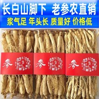 【今日特价】高龄生晒参500g人参长白山非野山参干人参泡酒中药材