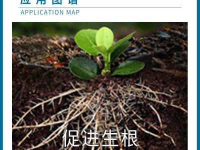 阿法威盖 滴灌冲施型糖醇鳌合钙镁壮根绿叶硬果防裂叶面肥图3