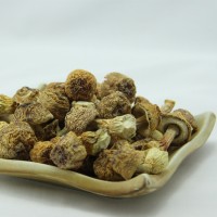 厂家直供湘蕈姬松茸L干货巴西菇批发食用菌松茸菇料10kg整箱散货