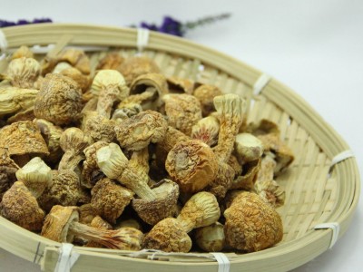 厂家直供湘蕈姬松茸L干货巴西菇批发食用菌松茸菇料10kg整箱散货图2