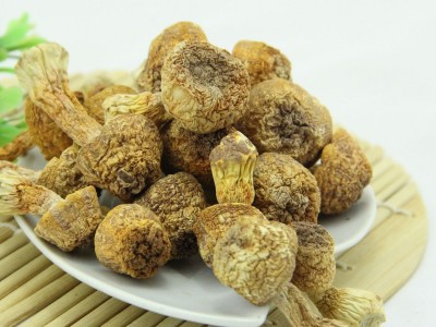 厂家直供湘蕈姬松茸L干货巴西菇批发食用菌松茸菇料10kg整箱散货图3