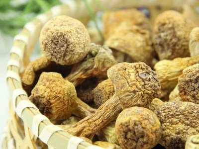 厂家直供湘蕈姬松茸L干货巴西菇批发食用菌松茸菇料10kg整箱散货图4