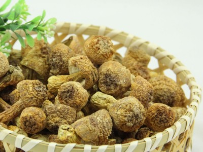 厂家直供湘蕈姬松茸L干货巴西菇批发食用菌松茸菇料10kg整箱散货图5