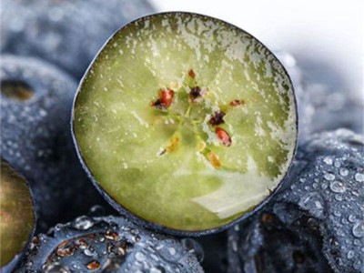 云南蓝莓鲜果大果高山现摘当季新鲜水果整箱批发非怡颗莓京东空运图2