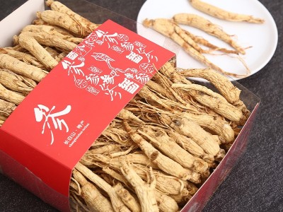 东北长白山人参干货人参干枝参500g盒装生晒现货55支左右送礼气血图2