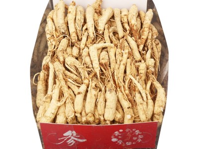 东北长白山人参干货人参干枝参500g盒装生晒现货55支左右送礼气血图5