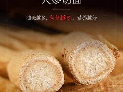 长白山干人参整枝东北特产白参送礼老人参材泡酒参生晒参滋补参茸图2