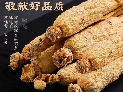 人参山参长白山东北特产人叁生晒林下白参新鲜正品泡酒干参片煲汤图2