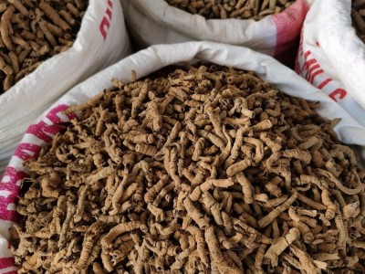 巴戟天批发中药材巴戟肉各种规格产地大货供应图3