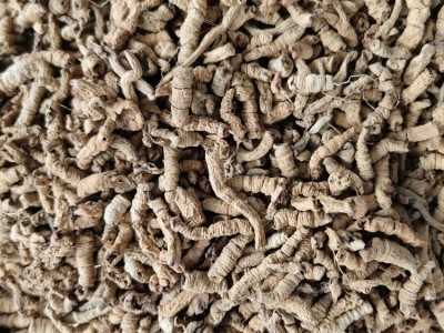 巴戟天批发中药材巴戟肉各种规格产地大货供应图4