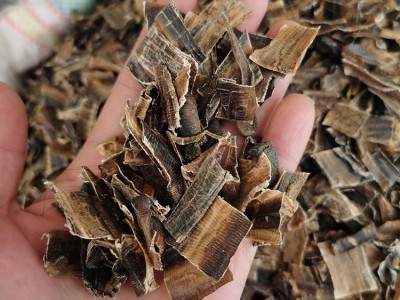 批发广地龙 产地货源地龙 蚯蚓干图2