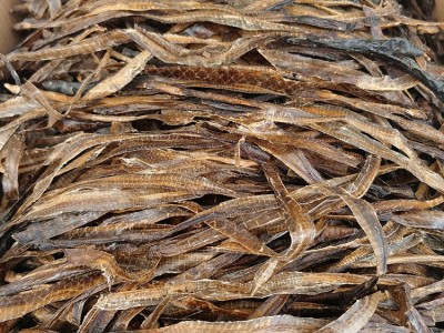 批发广地龙 产地货源地龙 蚯蚓干图3