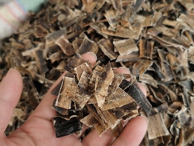 批发广地龙 产地货源地龙 蚯蚓干图5