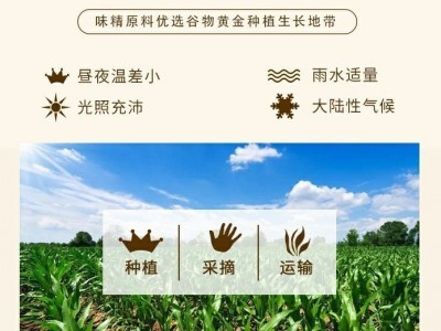 味精25kg商用增鲜增香炒菜炖菜煲汤火锅MSG出口纯味精无盐味精图2