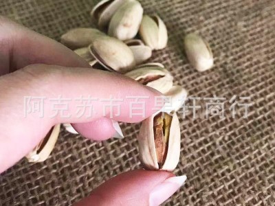 新货原色开心果坚果孕妇儿童零食散装500g*1袋批发图3