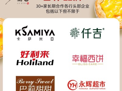 手工定制蛋挞皮蛋挞液烘焙半成品牛油手工蛋挞奶香酥脆蛋挞皮批发图2