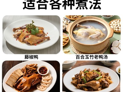 北海生态散养海鸭600天老鸭净膛900克/只活鸭现杀急速锁鲜GAP认证图3