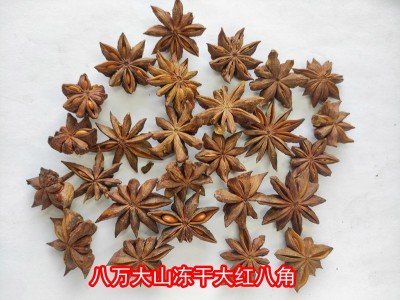 八角冻干大红八角大料批发八角干货纯干八角干八角大料500g 八角图4