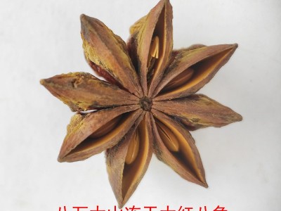 八角冻干大红八角大料批发八角干货纯干八角干八角大料500g 八角图3