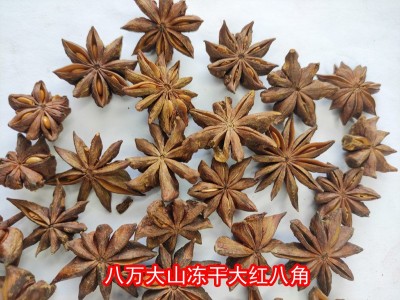 八角冻干大红八角大料批发八角干货纯干八角干八角大料500g 八角图5