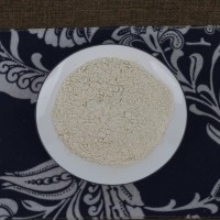 大蒜粉 脱水蒜 AD脱水蒜片 蒜粒8-16 40-80 80-100-120目脱水蒜粉