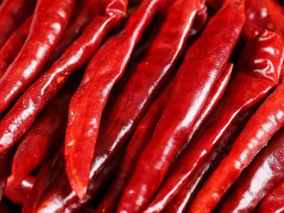 丘北辣云南丘北辣500g丘北椒提色增香油辣椒香辣型辣椒丘北干辣椒图3