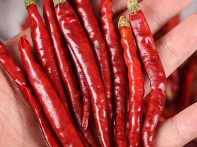 丘北辣云南丘北辣500g丘北椒提色增香油辣椒香辣型辣椒丘北干辣椒图2