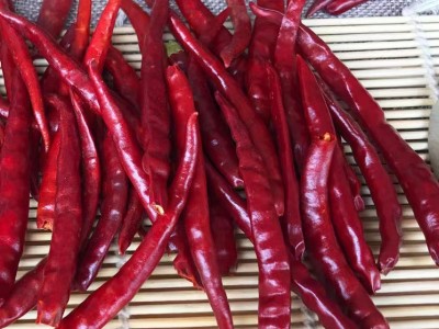 丘北辣云南丘北辣500g丘北椒提色增香油辣椒香辣型辣椒丘北干辣椒图4